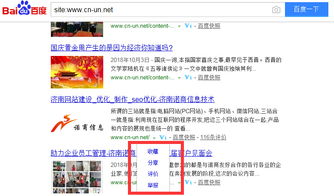 seo基礎(chǔ)理念的之收錄數(shù)據(jù)的分析