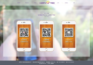 恭賀由硅峰網絡設計開發的 品牌形象營銷官網正式上線運營 硅峰動態 資訊中心 硅峰網絡 網站設計 軟件開發 微信建設,西安最專業的企業信息化建設網絡公司
