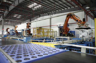 高中畢業(yè)生選專業(yè)指南 在中國(guó)做什么更有前景