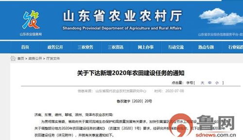 山東下達新增高標準農田建設任務15萬畝